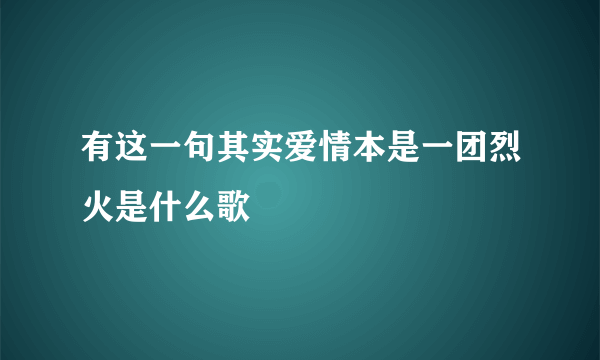 有这一句其实爱情本是一团烈火是什么歌