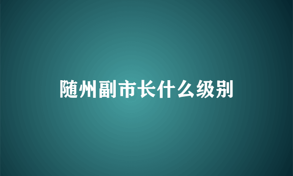 随州副市长什么级别