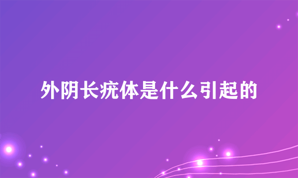 外阴长疣体是什么引起的