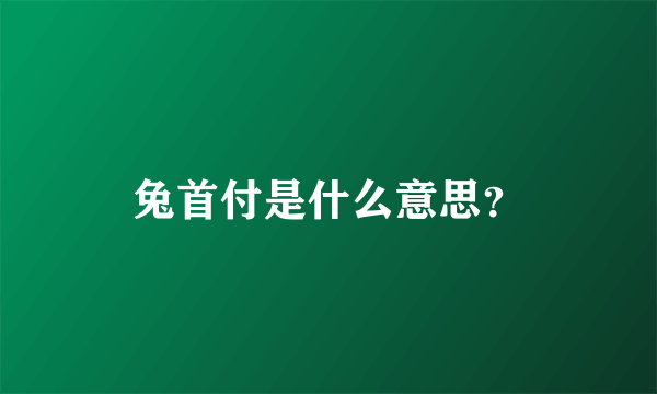 兔首付是什么意思？