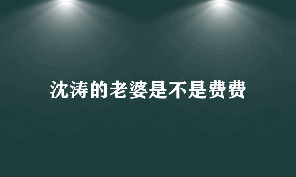 沈涛的老婆是不是费费