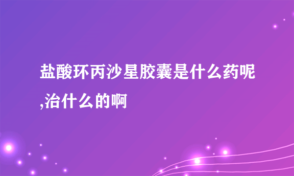 盐酸环丙沙星胶囊是什么药呢,治什么的啊