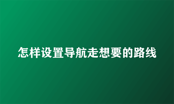 怎样设置导航走想要的路线