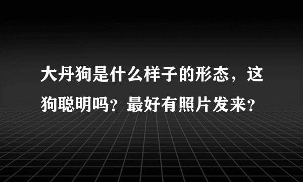 大丹狗是什么样子的形态，这狗聪明吗？最好有照片发来？