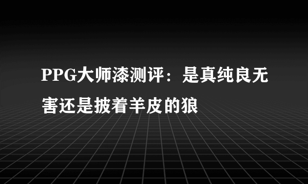 PPG大师漆测评：是真纯良无害还是披着羊皮的狼