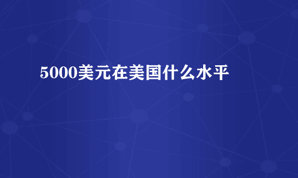 5000美元在美国什么水平