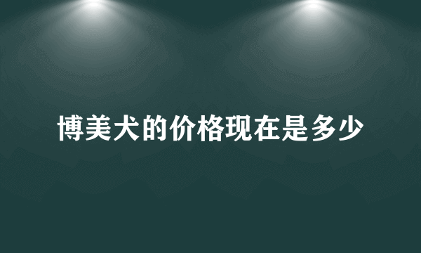 博美犬的价格现在是多少