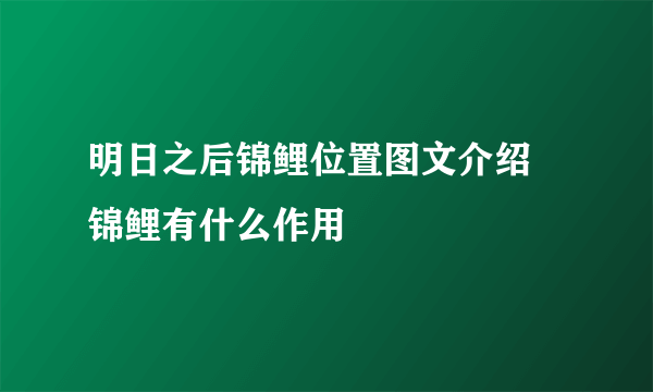 明日之后锦鲤位置图文介绍 锦鲤有什么作用