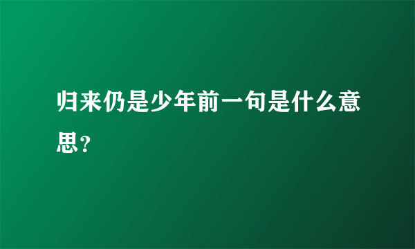 归来仍是少年前一句是什么意思？