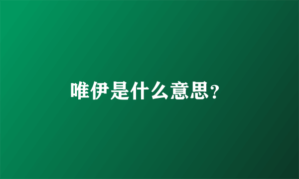 唯伊是什么意思？