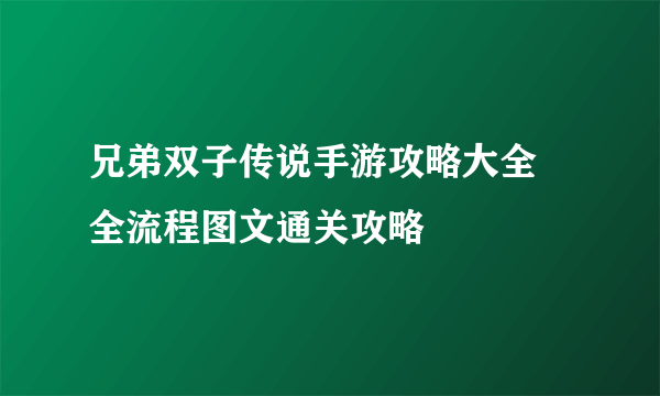 兄弟双子传说手游攻略大全 全流程图文通关攻略