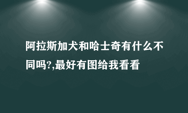 阿拉斯加犬和哈士奇有什么不同吗?,最好有图给我看看