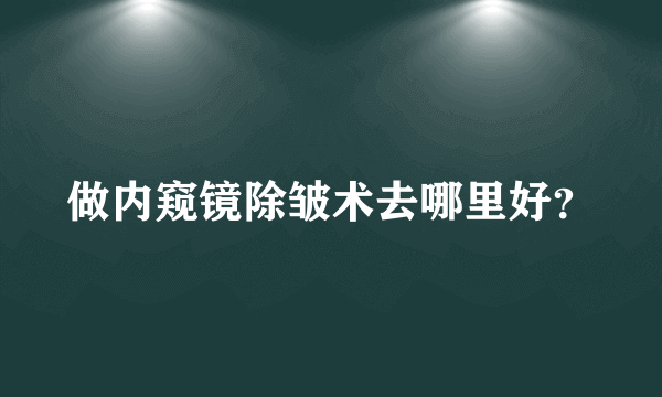 做内窥镜除皱术去哪里好？