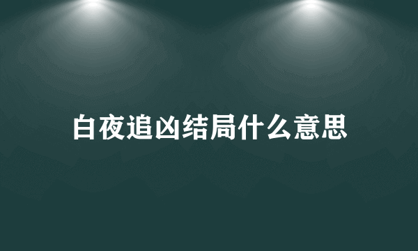 白夜追凶结局什么意思