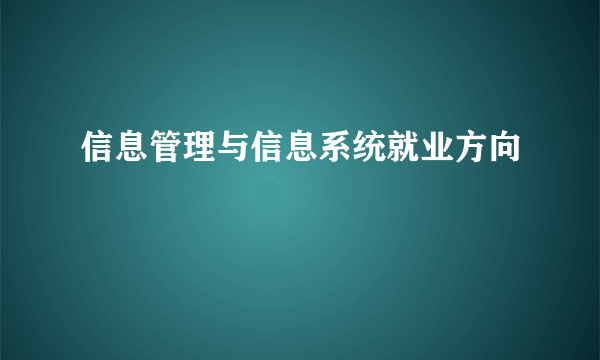 信息管理与信息系统就业方向