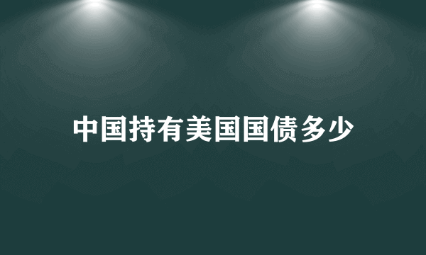 中国持有美国国债多少