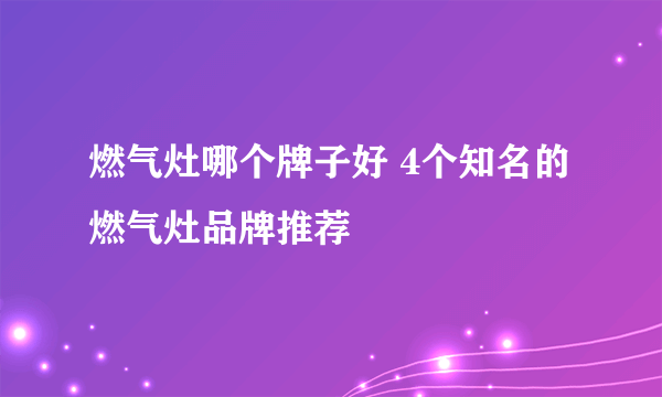 燃气灶哪个牌子好 4个知名的燃气灶品牌推荐