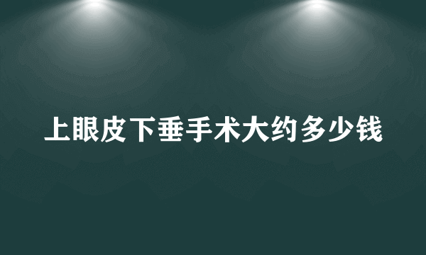 上眼皮下垂手术大约多少钱