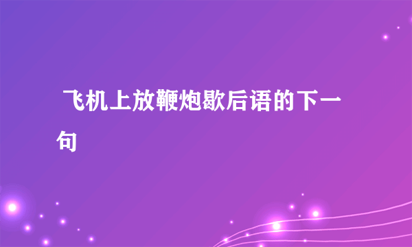  飞机上放鞭炮歇后语的下一句