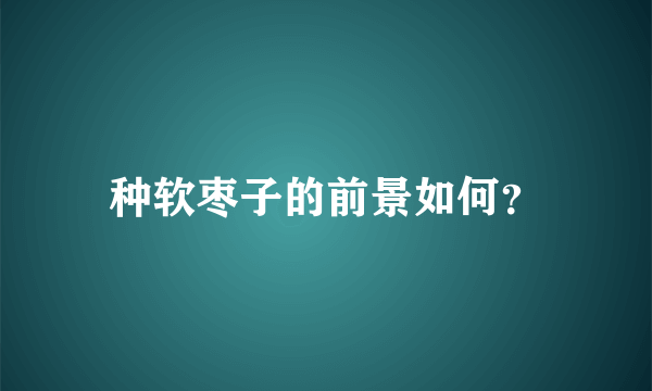 种软枣子的前景如何？