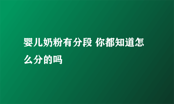 婴儿奶粉有分段 你都知道怎么分的吗