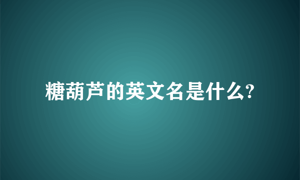 糖葫芦的英文名是什么?