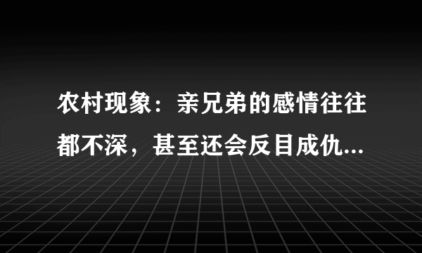 农村现象：亲兄弟的感情往往都不深，甚至还会反目成仇是为何？