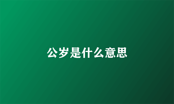 公岁是什么意思