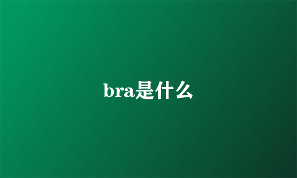 bra是什么