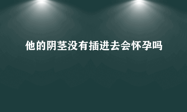 他的阴茎没有插进去会怀孕吗