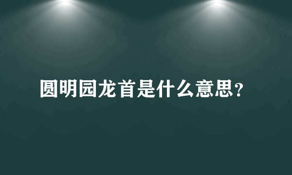 圆明园龙首是什么意思？