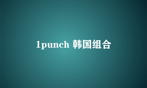 1punch 韩国组合