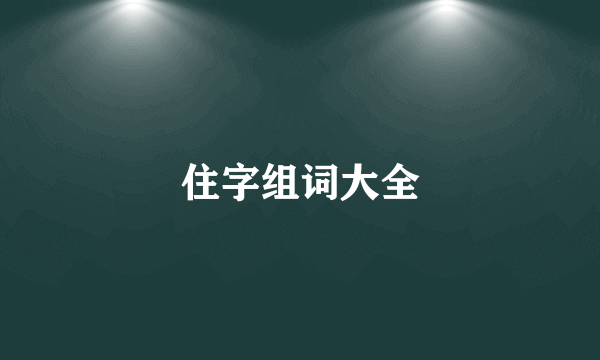 住字组词大全