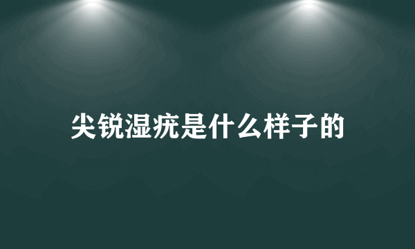 尖锐湿疣是什么样子的