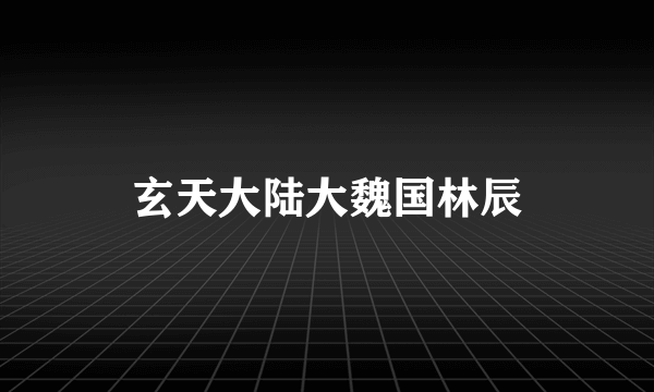 玄天大陆大魏国林辰