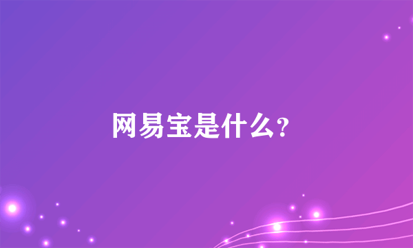 网易宝是什么？