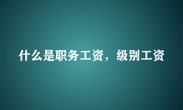 什么是职务工资，级别工资