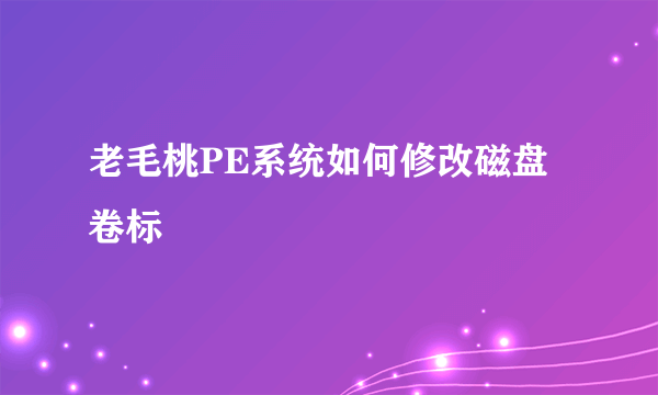 老毛桃PE系统如何修改磁盘卷标