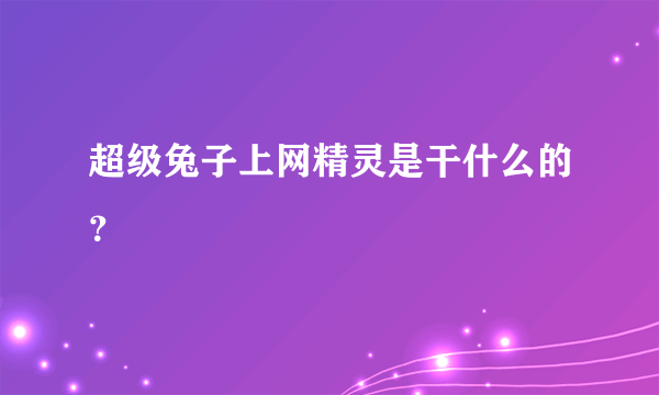 超级兔子上网精灵是干什么的？