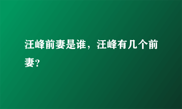 汪峰前妻是谁，汪峰有几个前妻？