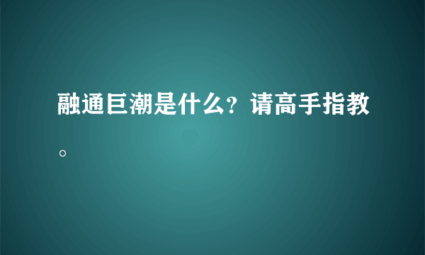 融通巨潮是什么？请高手指教。