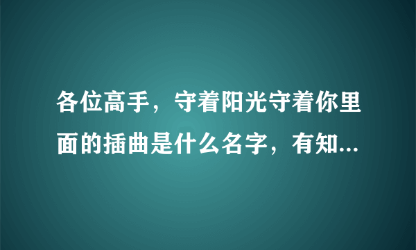 各位高手，守着阳光守着你里面的插曲是什么名字，有知道的吗，很好听的