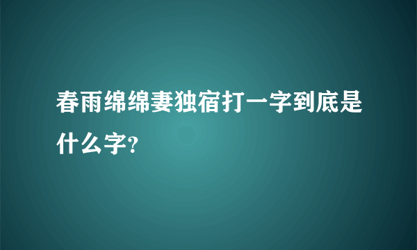 春雨绵绵妻独宿打一字到底是什么字？