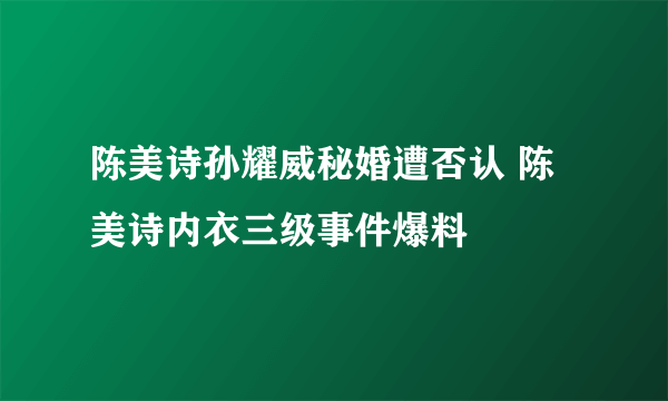 陈美诗孙耀威秘婚遭否认 陈美诗内衣三级事件爆料