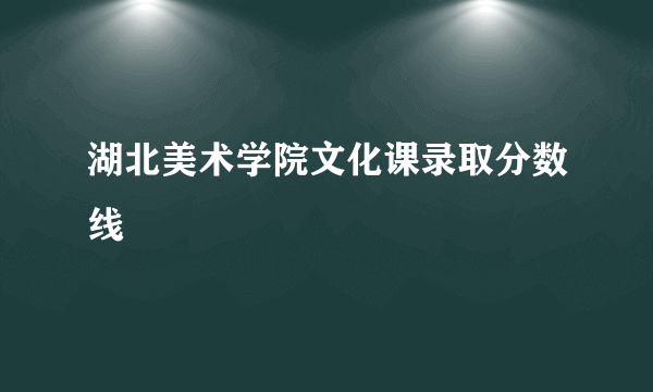 湖北美术学院文化课录取分数线