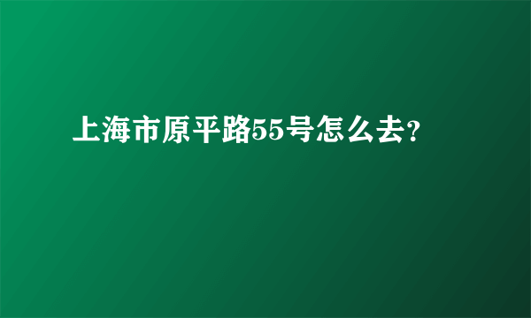 上海市原平路55号怎么去？