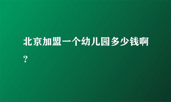 北京加盟一个幼儿园多少钱啊？