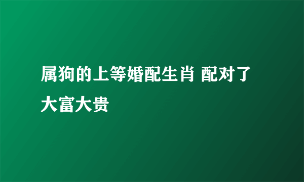 属狗的上等婚配生肖 配对了大富大贵