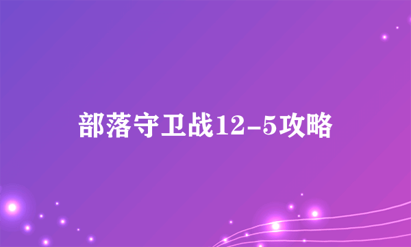 部落守卫战12-5攻略