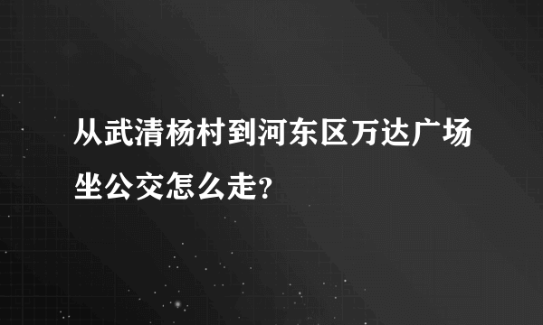 从武清杨村到河东区万达广场坐公交怎么走？